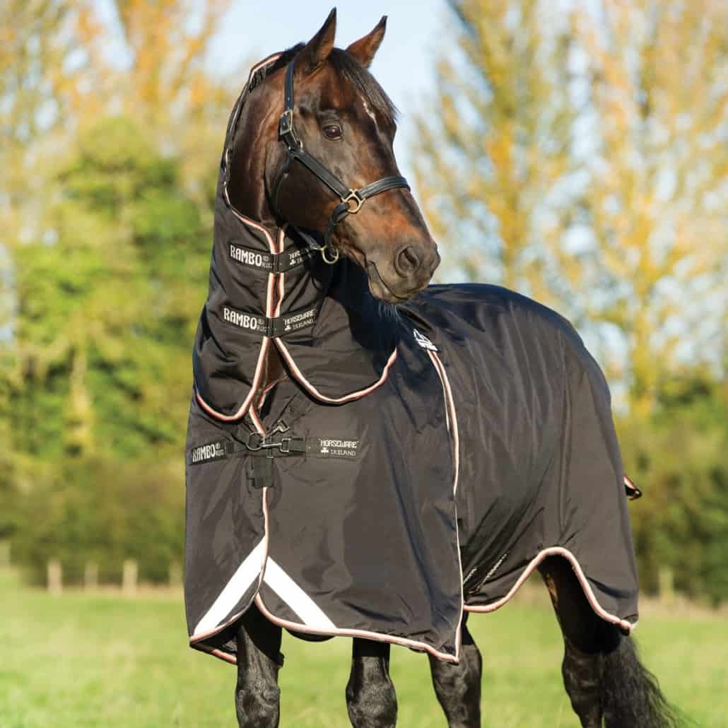 Die Horseware RAMBO OPTIMO Turnout HorSeven Blog DE