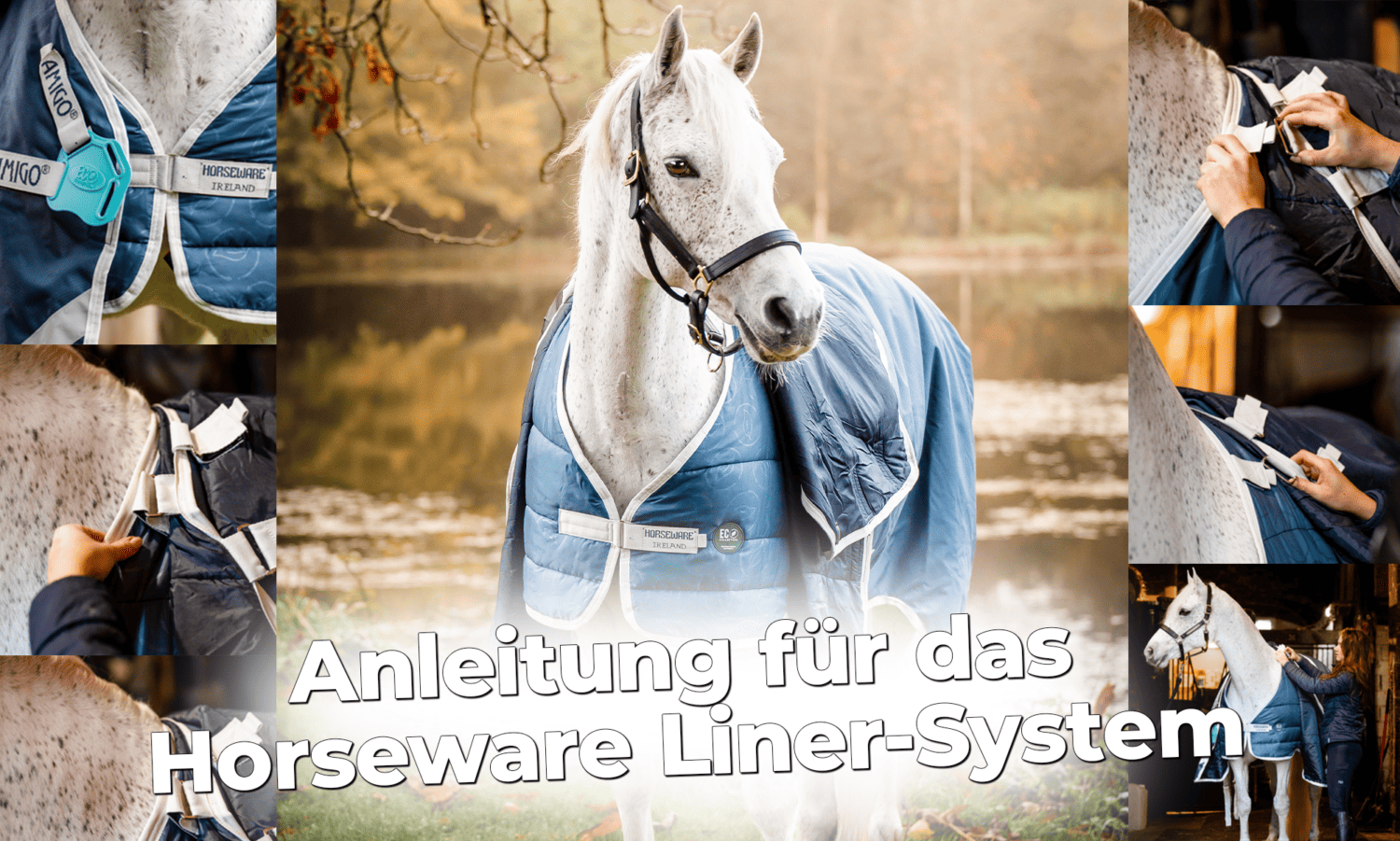 Maximaler Komfort mit dem Horseware® LinerSystem HorSeven Blog DE